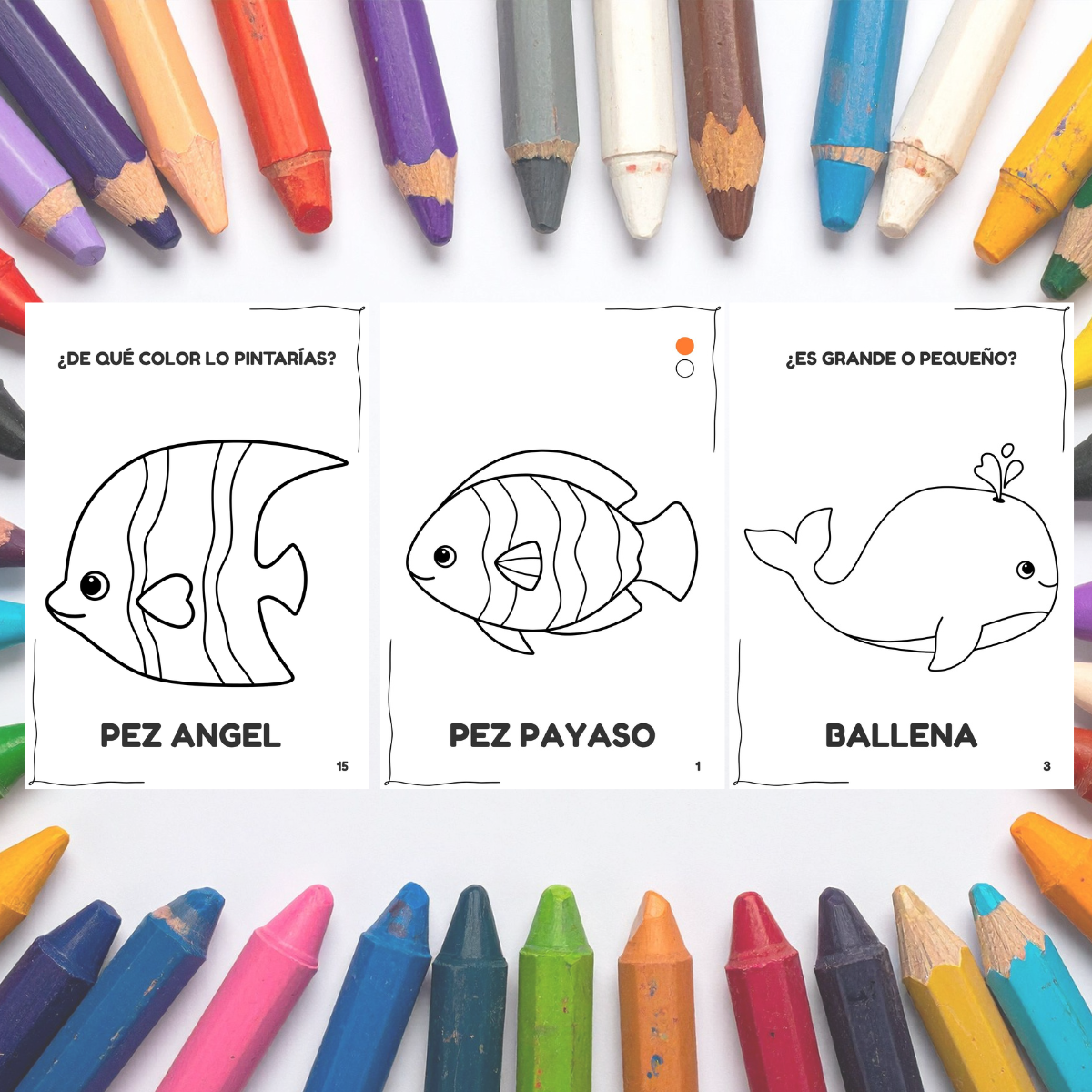 Colorea Animales del Mar 🌊 PDF Imprimible